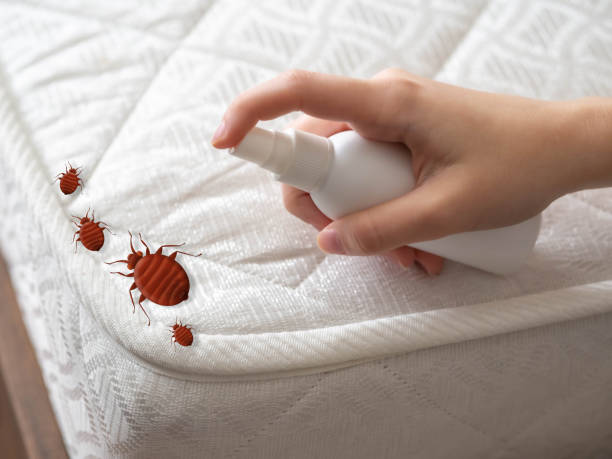 Trusted Myersville, MD Pest Control Experts