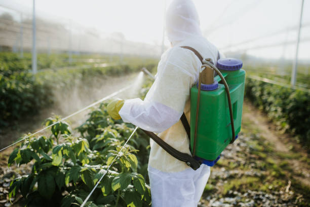 Wildlife Control Services in Myersville, MD